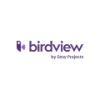 Birdview PSA logo