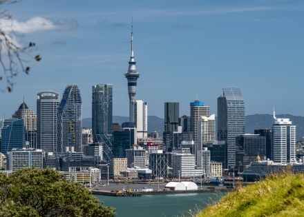 Panoramic view of downtown Auckland New Zealand from Cyril Basset Lookout