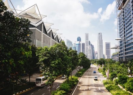 Tree canopy amongst the bustling city of Suntec City in Singapore
