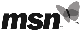 MSN logo
